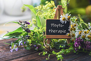 Phytotherapie mit pflanzlichen Arzneimitteln
