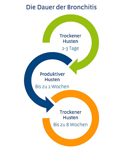 Die Dauer einer Bronchitis