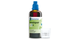Bronchipret Saft TE